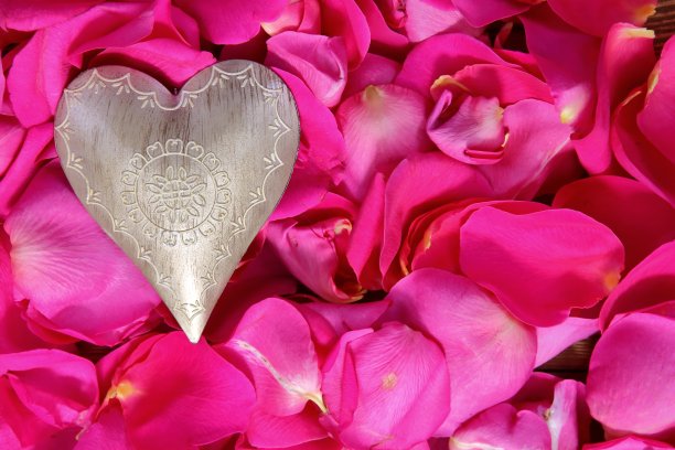 粉红色玫瑰花瓣上的心形图案。图片下载
