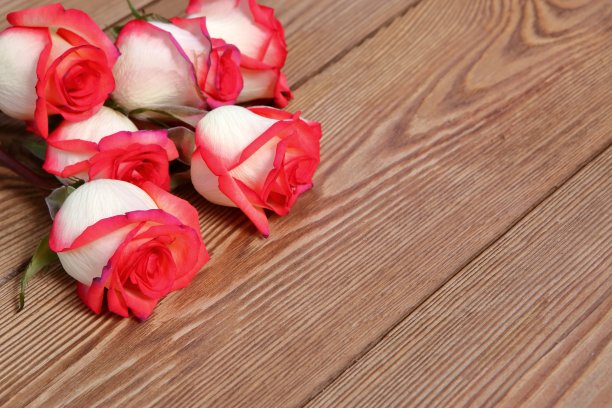 玫瑰花作为木制背景的补充。图片下载