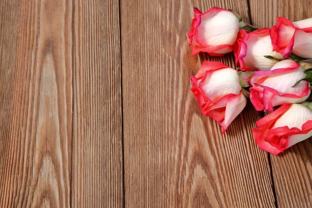 玫瑰花作为木制背景的补充。图片下载