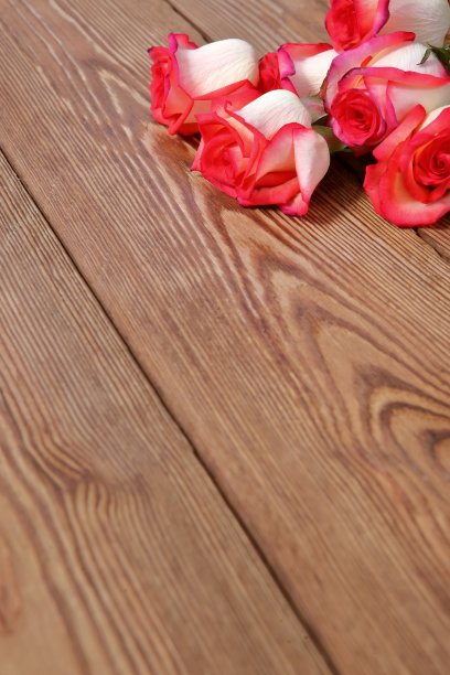 玫瑰花作为木制背景的补充。图片下载