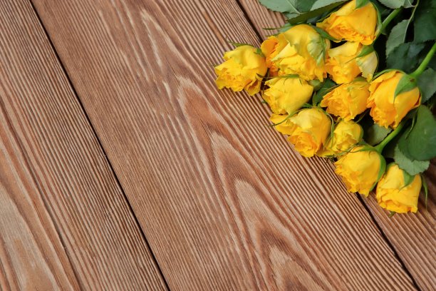 玫瑰花作为木制背景的补充。图片下载