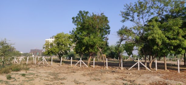 村庄有绿色的树木和植物图片下载