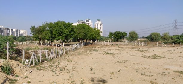 村庄有绿色的树木和植物图片下载