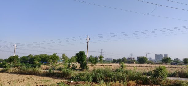 村庄有绿色的树木和植物图片下载