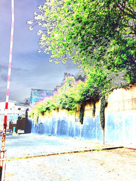 蓝色的天图片下载