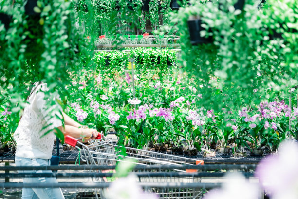 购物车买树农场销售市场生态保护图片下载