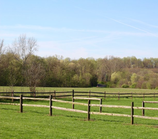 绿草地牧场图片下载
