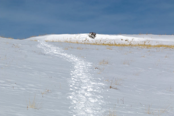 雪鞋小道图片下载