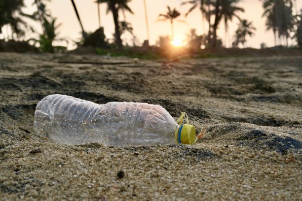 塑料瓶子被冲到沙滩上的热带棕榈树和日出/日落的图像，塑料回收的概念照片乱扔垃圾和塑料垃圾，乱扔沙子，而不是被回收在肮脏的海滩度假图片下载