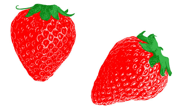 草莓的写实插画图片下载