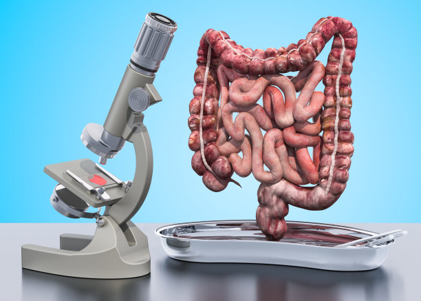 肠道疾病的研究与诊断概念。人体肠道的实验室显微镜，3D图片下载