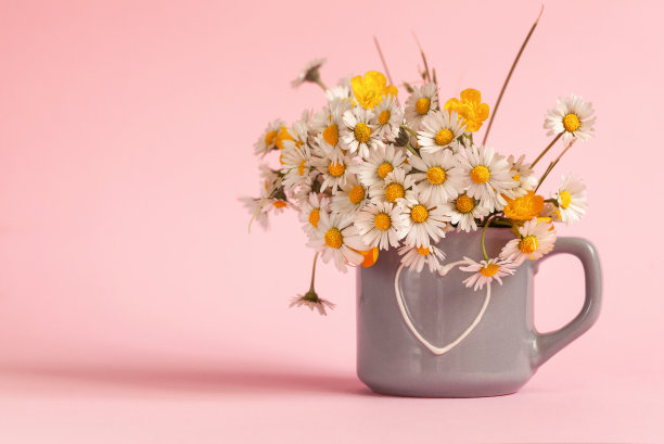 粉红色背景的杯子里放着一束雏菊。生日快乐或节日概念。图片下载