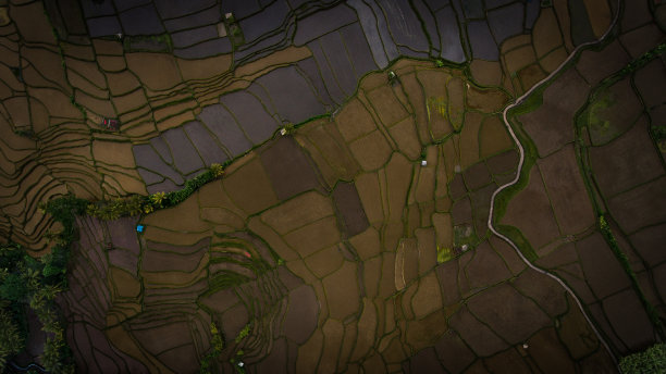 在印尼巴厘岛进行无人机摄影图片下载