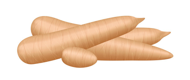 生鲜木薯分离在白色背景上，木薯切片用于木薯粉工业或乙醇工业，堆丝兰木薯块茎，生鲜木薯在俯视图图片下载