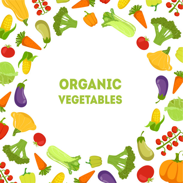有机蔬菜，农场新鲜多彩的产品与文本矢量插图的空间图片下载
