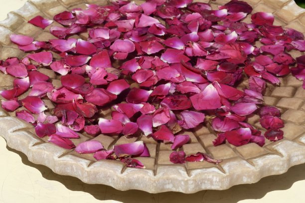 红玫瑰花瓣漂浮在水盘上，传统的印度家庭/酒店/寺庙欢迎客人的照片图片下载