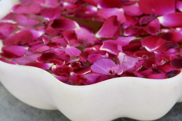 红玫瑰花瓣漂浮在水盘上，传统的印度家庭/酒店/寺庙欢迎客人的照片图片下载