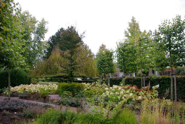 秋天的花园图片下载