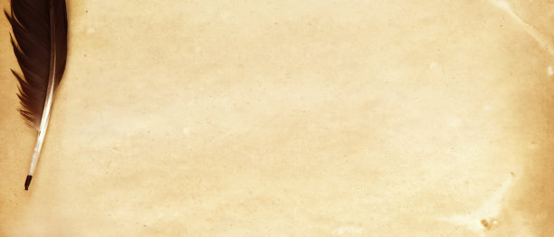 旧纸上棕色的木材纹理和羽毛图片下载