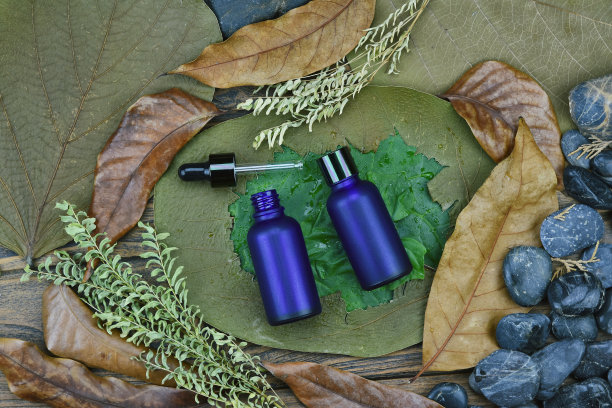 化妆品采用纯天然植物，绿叶有机美容spa产品，护肤空白瓶包装用绿叶草药，保湿和干损护理理念。图片下载