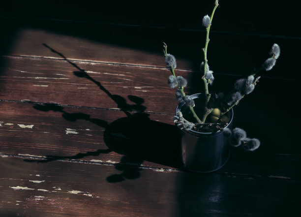 4月的复活节清晨，窗外阳光明媚，乡村里，一个简单的重新使用的锡罐中，绿色树枝上蓬松的灰色春芽，质朴的木桌上挂着阴影图片下载