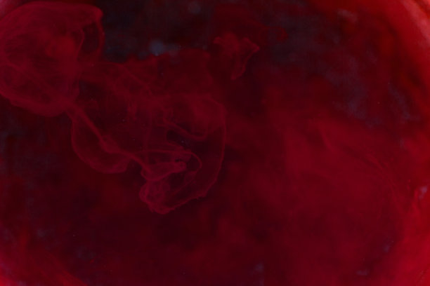 健康的人类红细胞图片下载