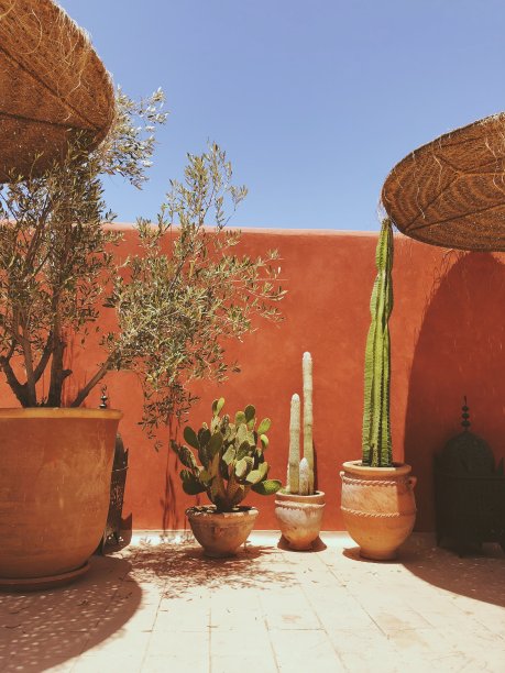 摩洛哥庭院露台：大灯、仙人掌和传统陶罐花卉图片下载