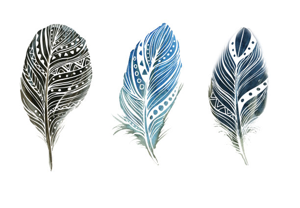 水彩羽毛在白色的背景。放荡不羁的风格。白色背景上孤立的羽毛。卡片，请柬，海报，织物，衣服的插图。图片下载