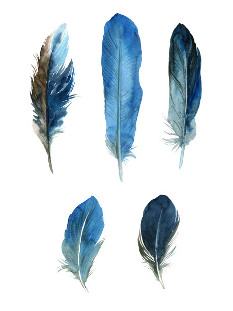 水彩羽毛在白色的背景。放荡不羁的风格。白色背景上孤立的羽毛。卡片，请柬，海报，织物，衣服的插图。图片下载