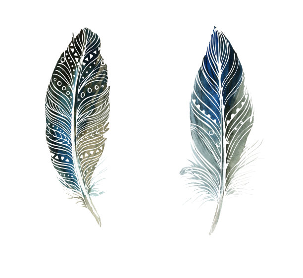 水彩羽毛在白色的背景。放荡不羁的风格。白色背景上孤立的羽毛。卡片，请柬，海报，织物，衣服的插图。图片下载