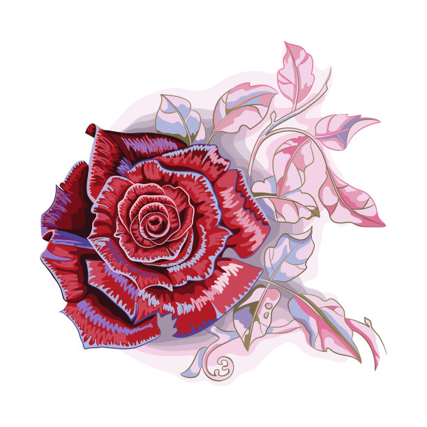 白色背景上漂亮的红玫瑰花和叶子的插花，特写。图片下载