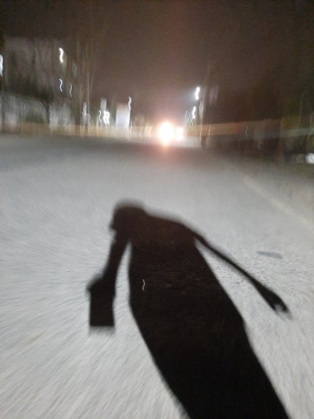 夜晚的影子是一个可怕的伴侣图片下载