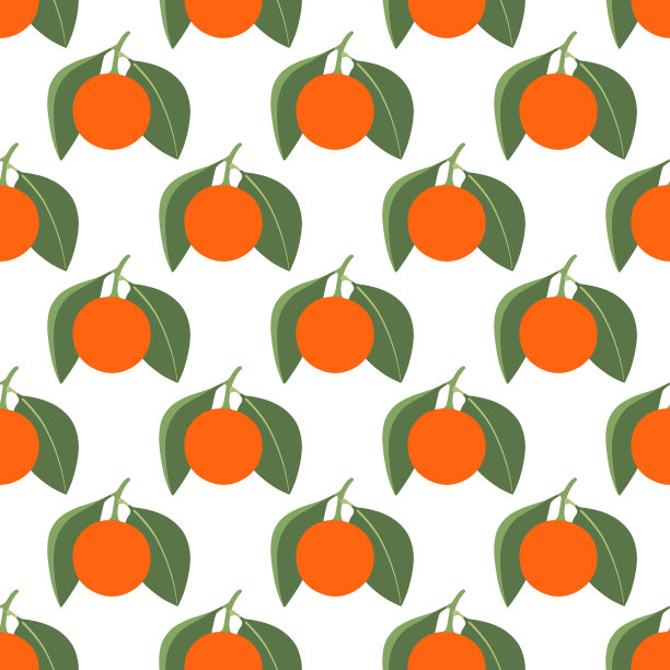 无缝图案与两个橘子和叶子在白色的背景图片下载