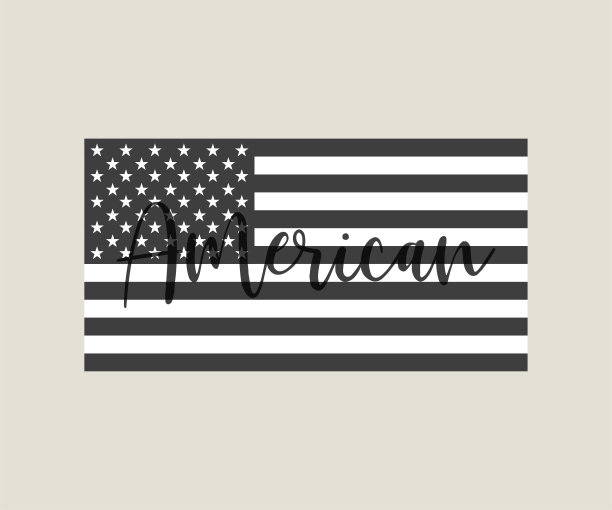美国国旗与文本美国。美国国旗孤立。向量图片下载