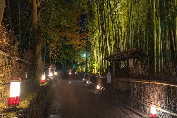 岚山竹林的夜晚图片下载