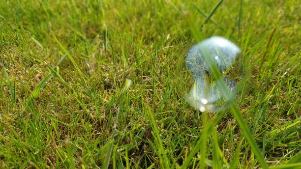 近距离的肥皂泡沫在草图片下载