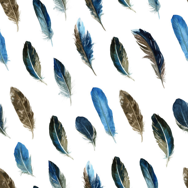 无缝图案与羽毛。用水彩、墨水和钢笔绘制。用于织物、纸张、卡片、请柬、信封、保存日期等。图片下载
