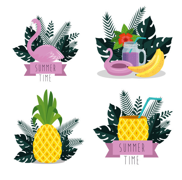 一套夏季热带水果和树叶植物图片下载