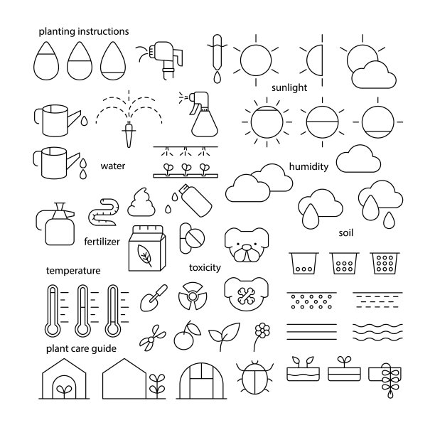 可编辑的笔画种植指令图标集。植物护理指南符号。园艺。薄平面图标设计。花园和植物护理图片下载
