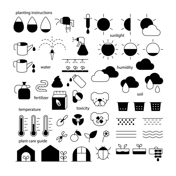 种植指令图标集。花园和植物护理。植物护理指南符号。园艺。黑白平面设计元素图片下载