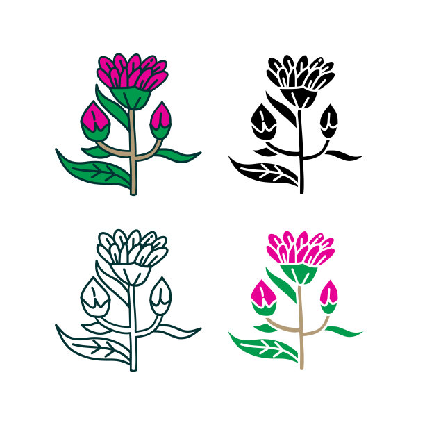 花叶子插图设计模板矢量图片下载