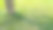 白色的花落在绿色的草地上图片下载