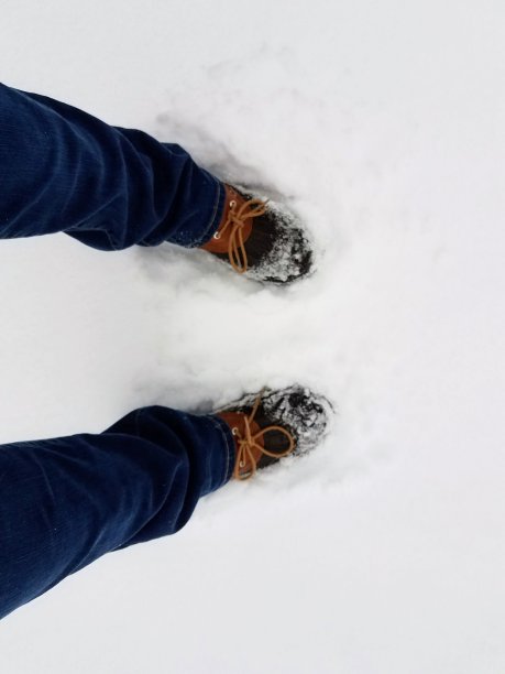 雪地里的脚图片下载