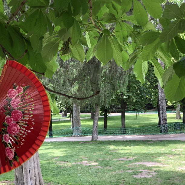 退休公园图片下载