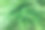 背景是新鲜的绿叶和水滴。绿色动态背景。图片下载