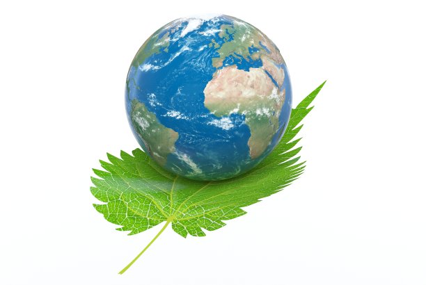 地球行星上的叶子-环境概念图片下载