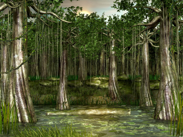 沼泽-森林湿地景观图片下载