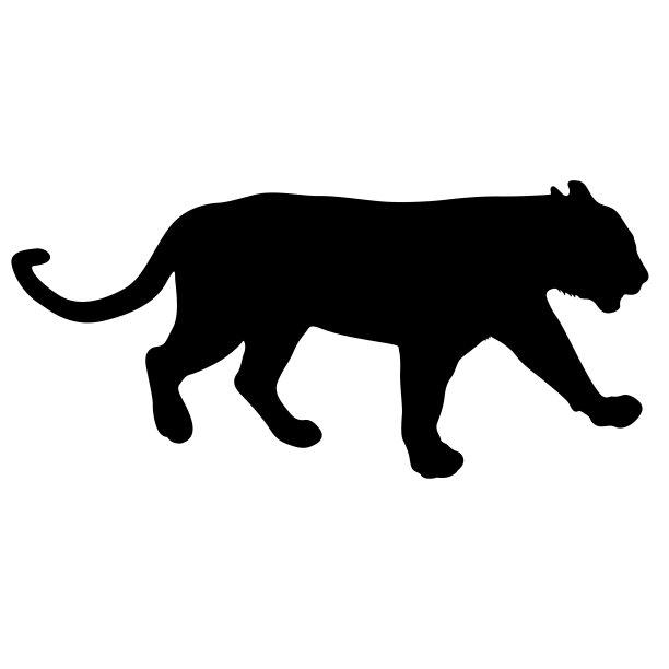 白色背景上的母狮剪影图片下载