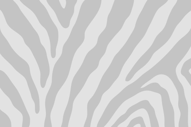 抽象的背景。斑马图案说明图片下载