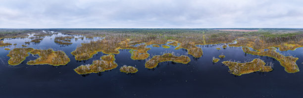 拉脱维亚春天的塞努·提利斯沼泽图片下载